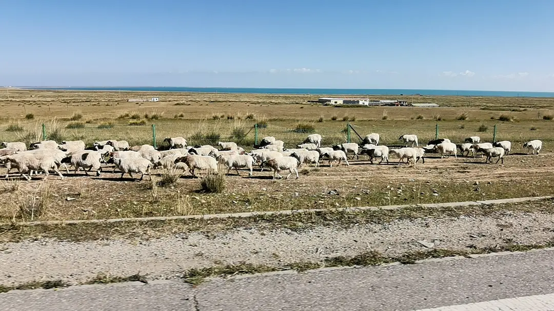 敦煌租車解析：自動(dòng)擋和手動(dòng)擋哪種車省油？