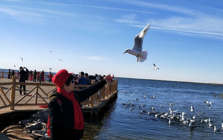 公司和企業(yè)在敦煌租車時(shí)應(yīng)該注意什么？