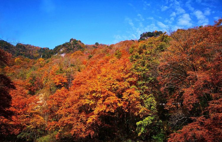 敦煌租車(chē)公司哪家好？求推薦