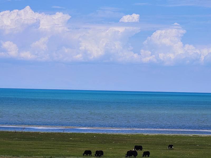 敦煌包車公司告訴您代駕租車車型選擇和驗(yàn)車一樣很重要？
