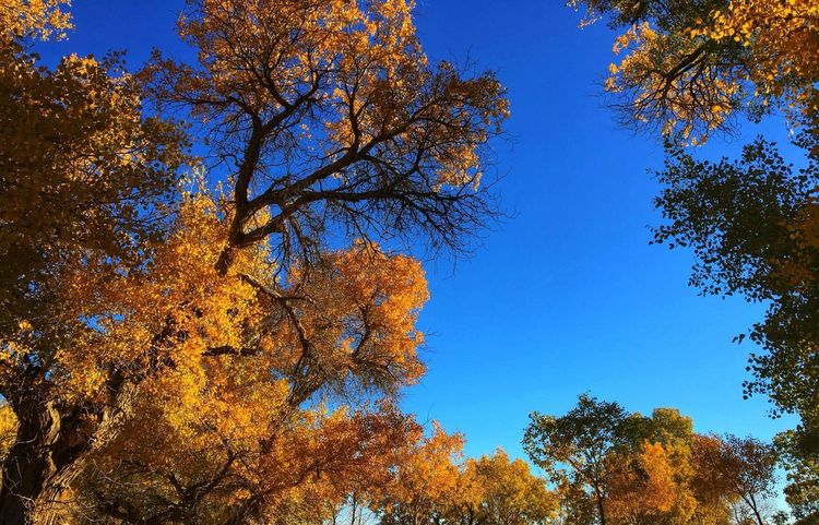 進(jìn)行敦煌包車租車商務(wù)租車要注意那些?