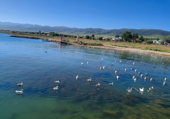 敦煌包車租車同時(shí)的一些注意事項(xiàng)是什么？