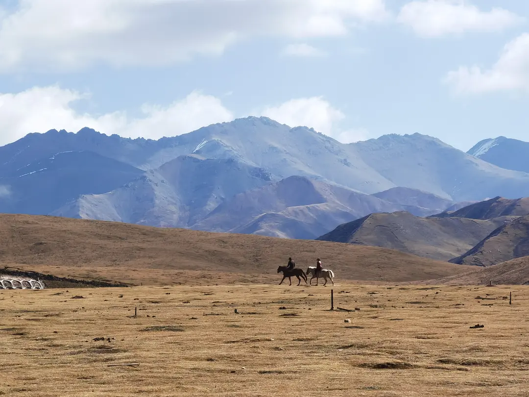 敦煌包車分時(shí)租車區(qū)能否成為出行的新選擇？