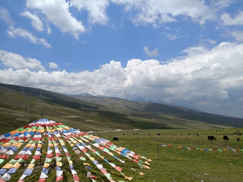 敦煌包車長期租車市場的現(xiàn)狀如何？