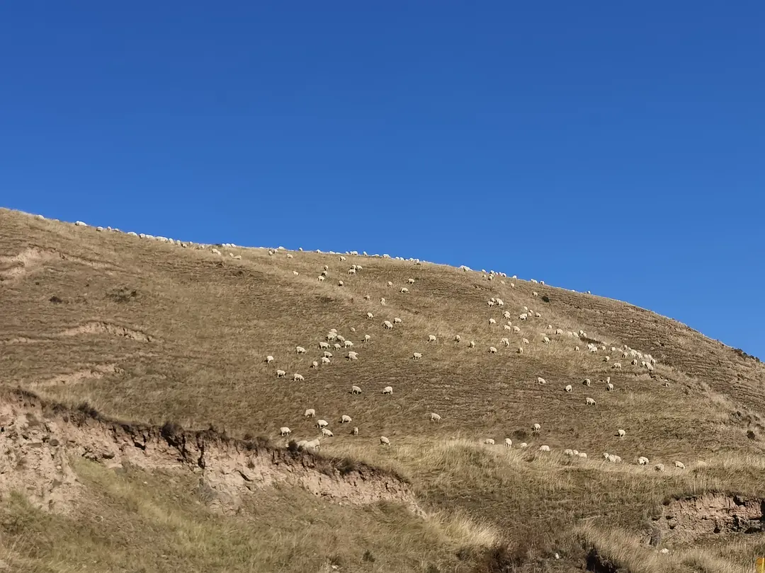 敦煌包車租車小技巧你知道多少？