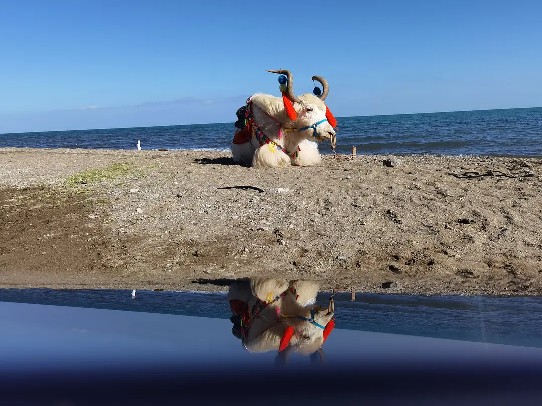 敦煌逐西租車公司：自動檔汽車駕駛的“偽科學(xué)”你知道幾個？