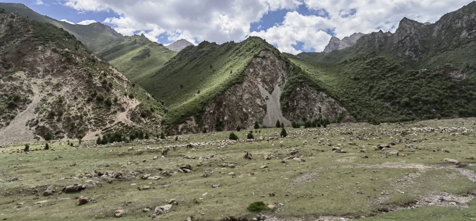 敦煌逐西租車公司：換季汽車保養(yǎng)