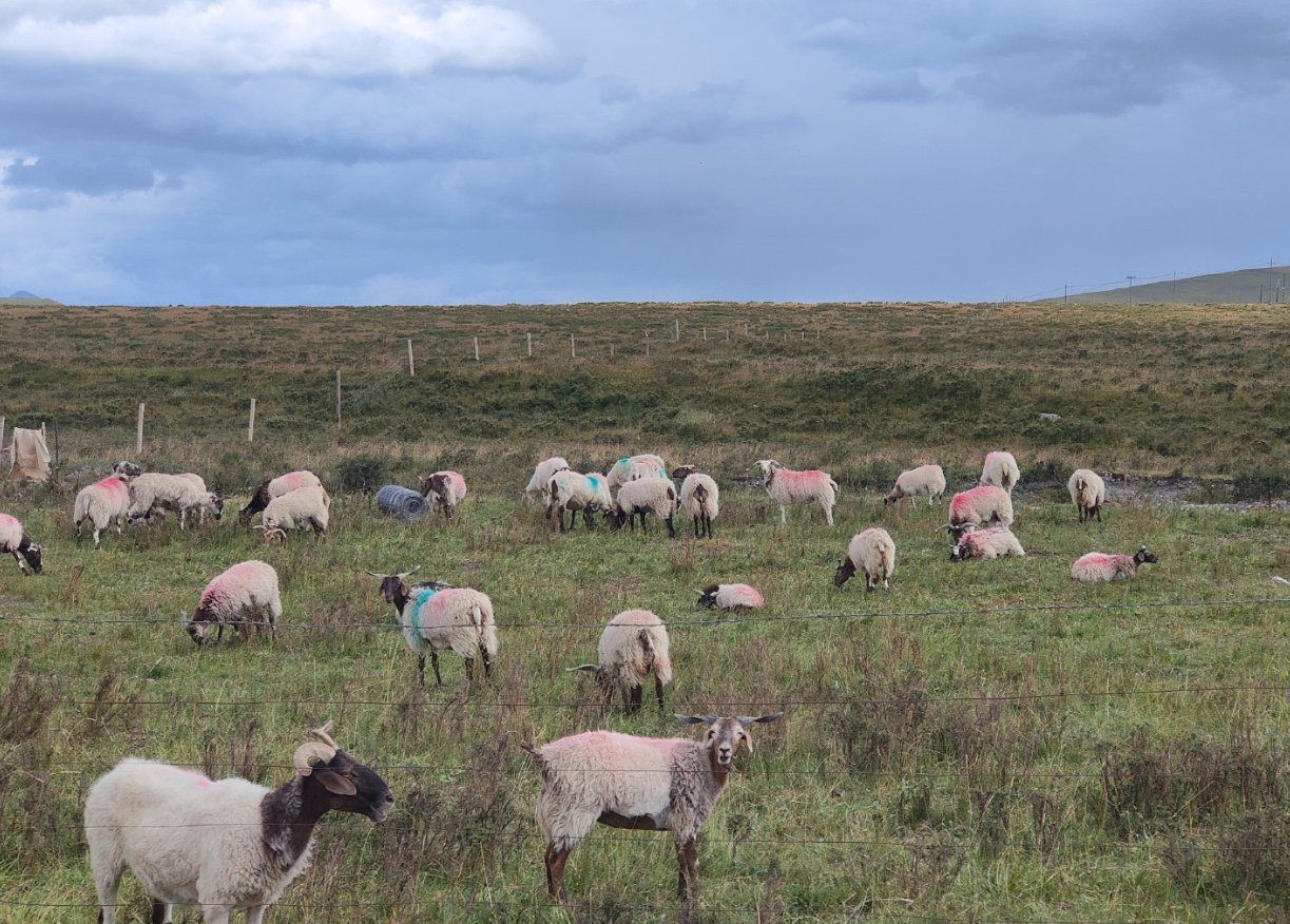 敦煌逐西租車公司提示：謹防消費誤區(qū)