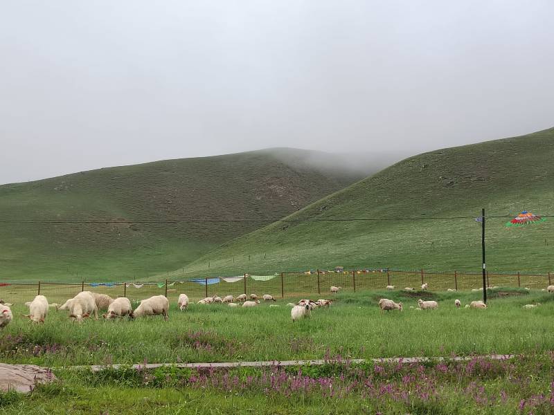敦煌租車(chē)一天多少錢(qián)？——探尋租車(chē)價(jià)格的奧秘
