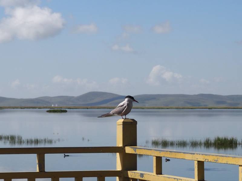 靈活租車小竅門