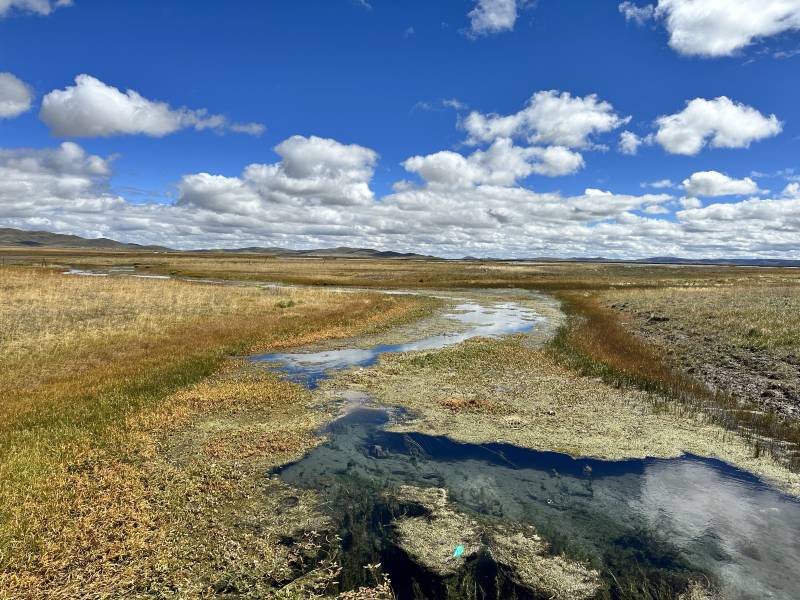 甘肅租車一天多少錢？