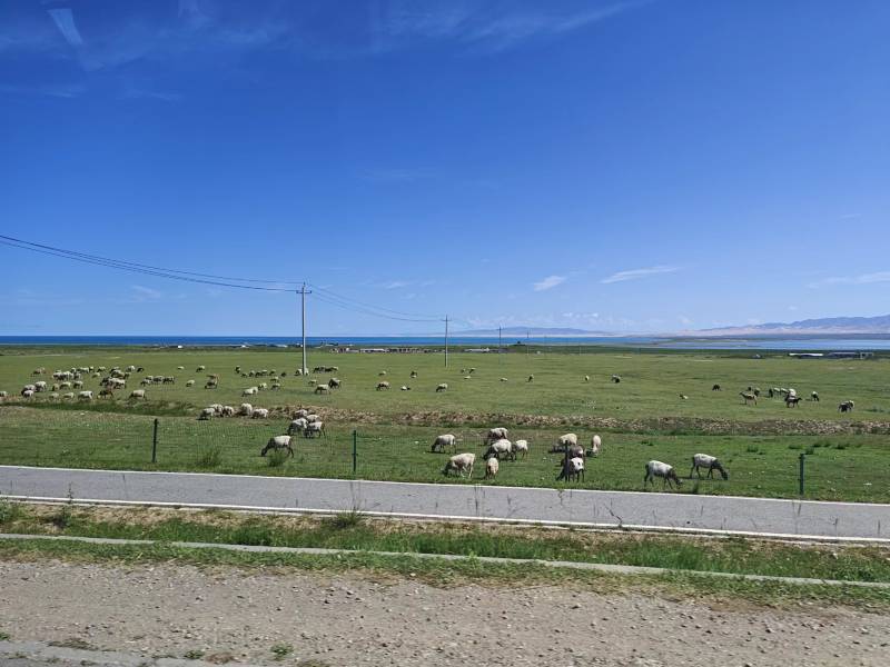 夏天怎么使用汽車空調(diào)？怎么保養(yǎng)呢？