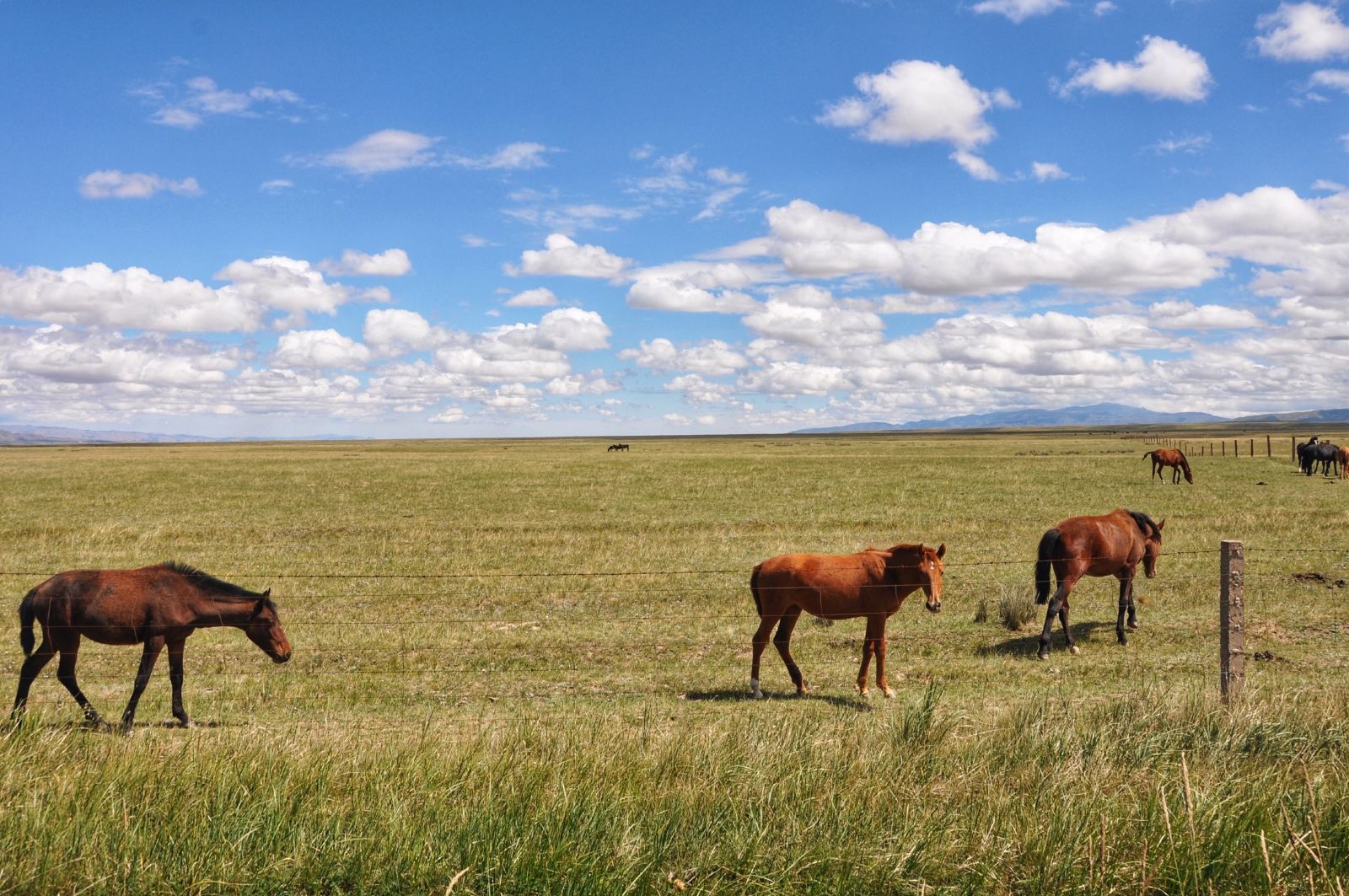 從蘭州租車去西北玩怎么樣？