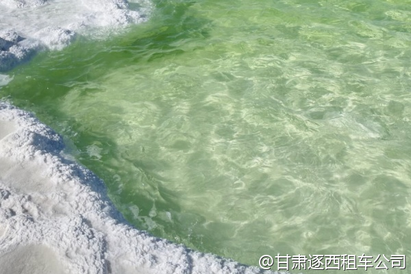 公司會議結(jié)束后想包車游覽敦煌，半天時間夠嗎？  