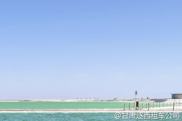 我們想租一輛大巴，司機(jī)需要幾個(gè)？長(zhǎng)途駕駛有輪換嗎？  