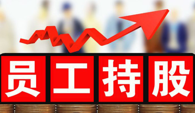 股權(quán)激勵(lì)對企業(yè)有什么意義？