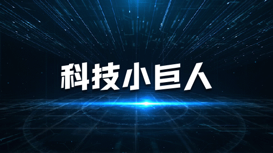 廣東省工業(yè)和信息化廳關(guān)于做好第四批專精特新“小巨人”企業(yè)推薦和第一批專精特新“小巨人”企業(yè)復核工作的通知