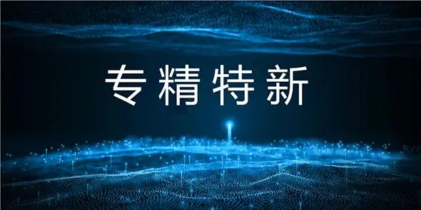國家級專精特新小巨人怎么申報(bào)、條件流程