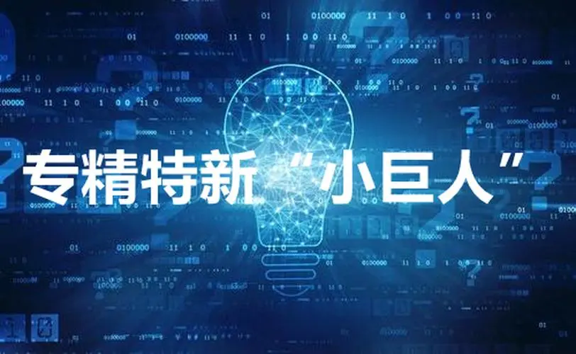 【詳細(xì)】專精特新企業(yè)申報(bào)流程、條件、領(lǐng)域
